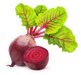 Beetroot Ruby Queen