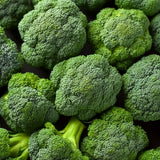 Broccoli F1 Hybrid Alia