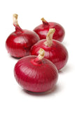 Onion red N-53