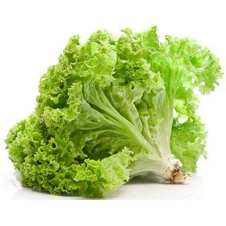 Lettuce Iceberg