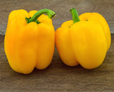 Sweet Pepper Yellow F1 Hyb.